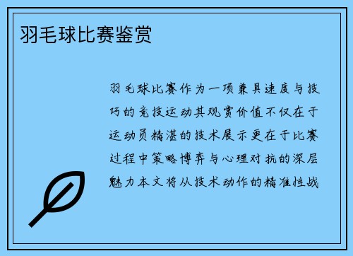 羽毛球比赛鉴赏
